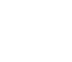 Veneer